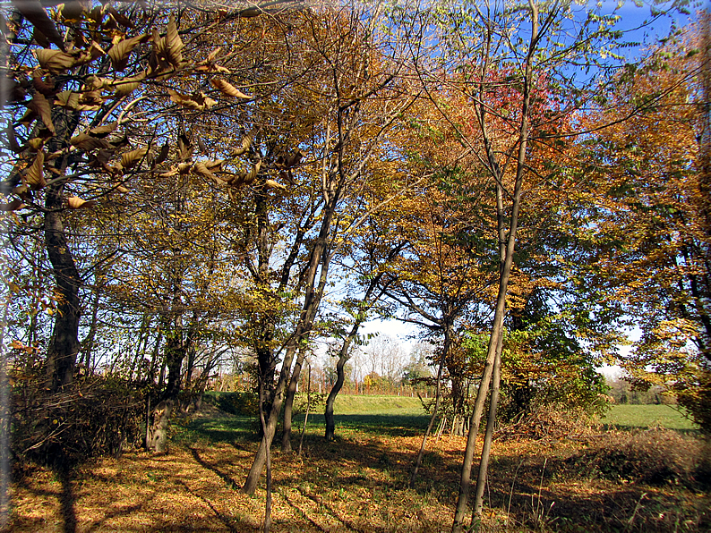 foto Alle pendici del Monte Grappa in Autunno